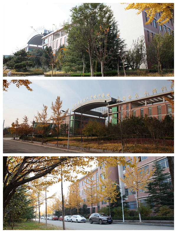 山东医药技师学院